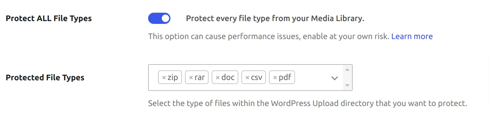 File Restriction Protect All File Types setting