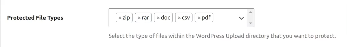 File Restriction Protect File Types setting only